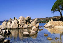 [德甲]波鸿队快速反击 浅野拓磨低射扳平比分.